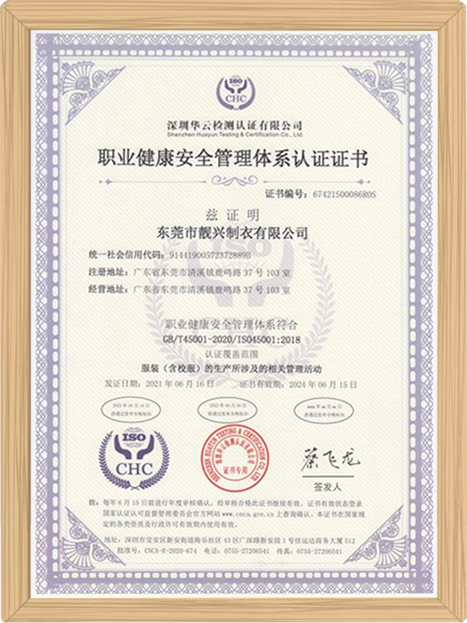 职业健康安全管理体系...